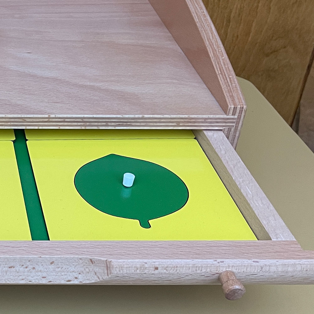 Botany Montessori Curriculum 101